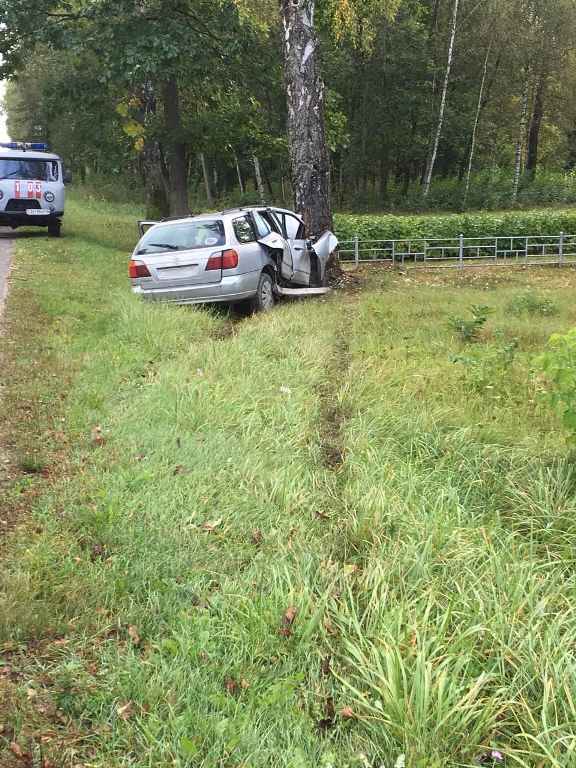 В Вилейском районе Nissan вписался в дерево. Непристегнутый водитель погиб