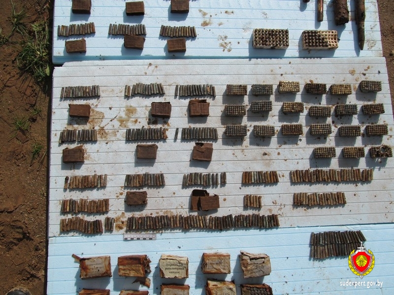 В Логойском районе на приусадебном участке откопали 2400 патронов