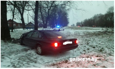 Минчанин на Audi проверил на прочность дерево в Пружанском районе