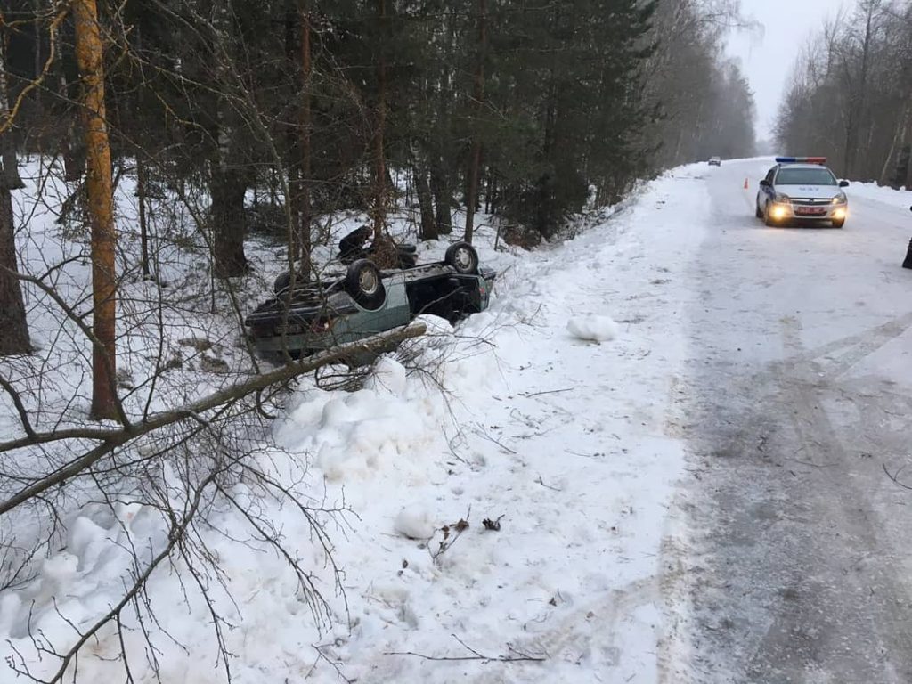 В Бобруйском районе водитель погиб после съезда в кювет