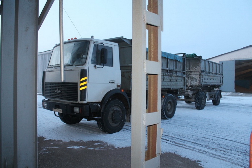В Щучинском районе агроном и завскладом пытались похитить 20 тонн зерна на 21 тыс. рублей