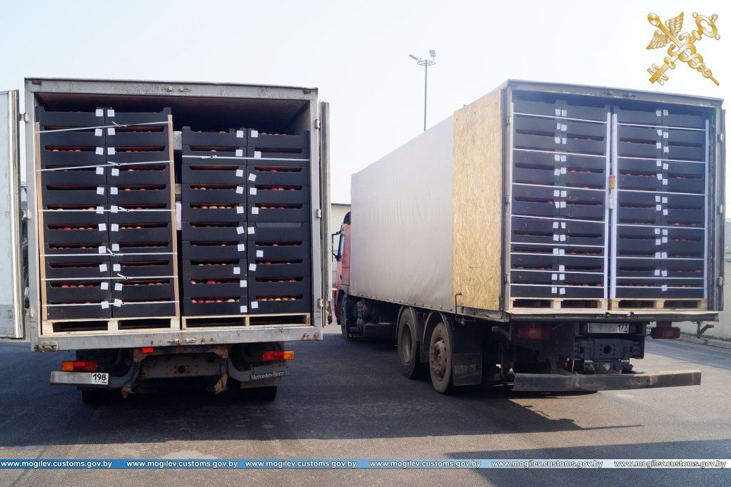 Беларусская таможня задержала около 100 тонн яблок, которые везли в Россию