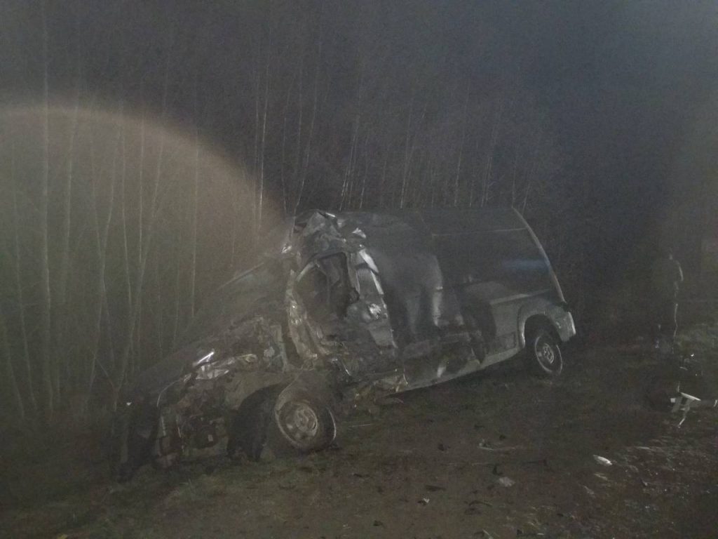 В Сенненском районе из-за животного на дороге фура врезалась в микроавтобус