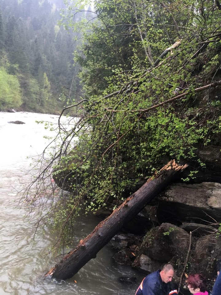В Ивано-Франковской области автомобиль с беларусами сорвался в реку с 40-метрового обрыва