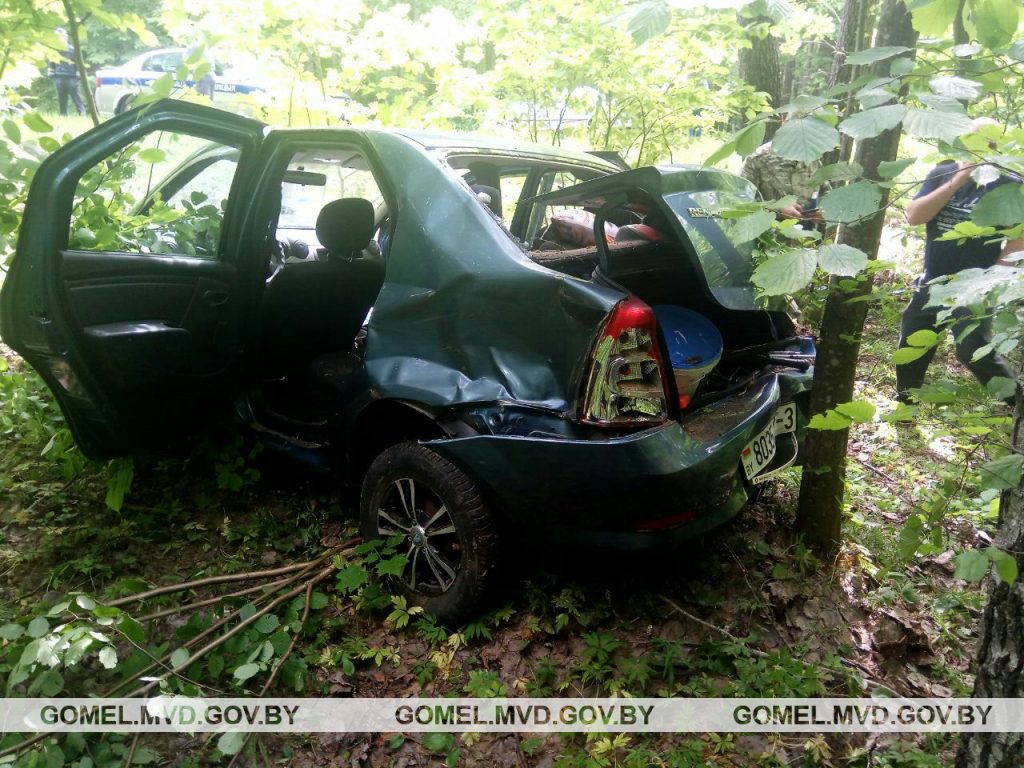 В Речицком районе из-за падающего дерева разбилось авто с 3-летним ребенком