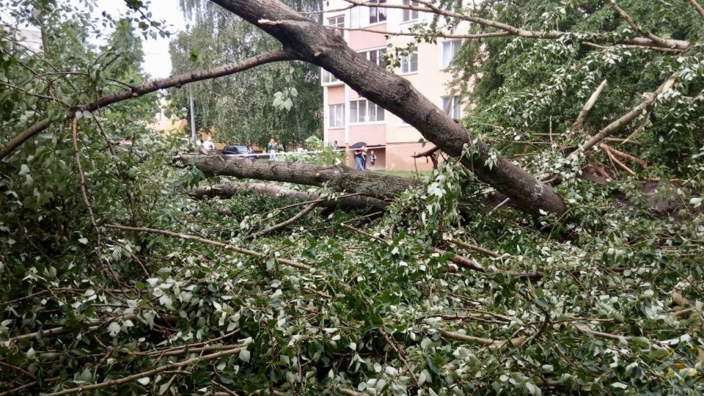 Гроза в Минске: затоплены улицы, повалены деревья