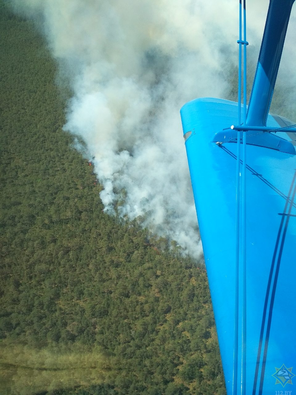 Лесной пожар в Пуховичском районе: задействована авиация