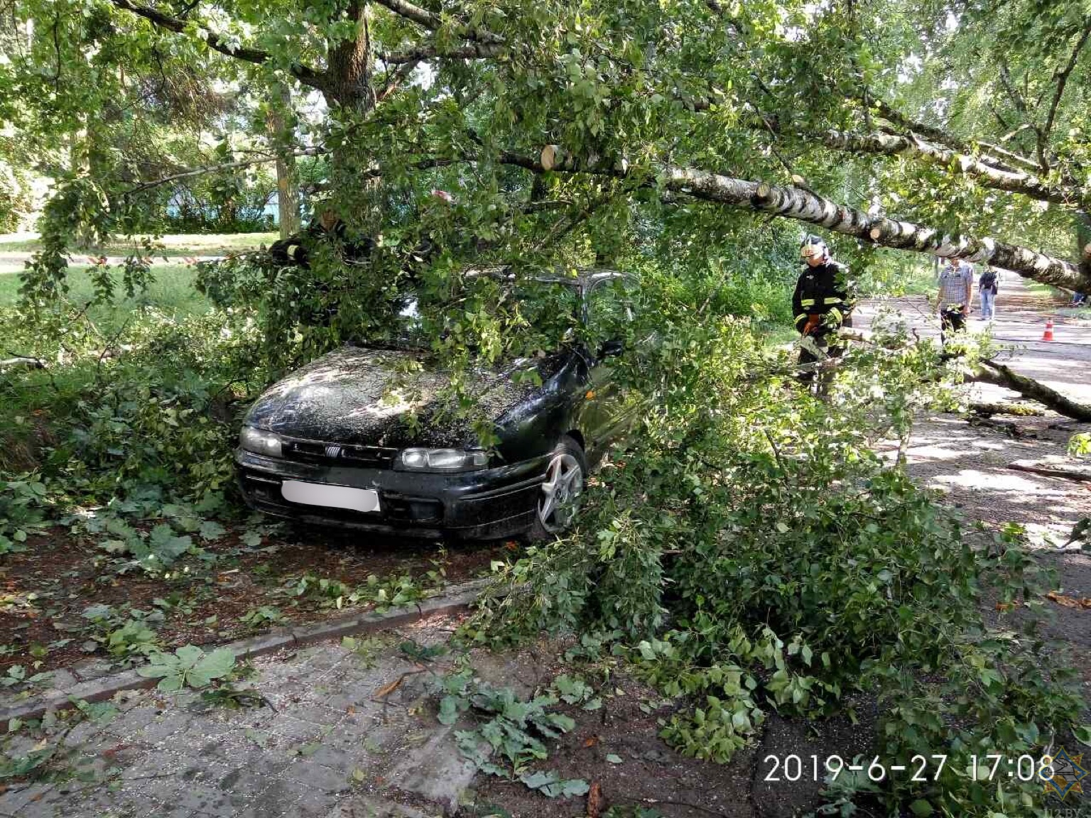 В Минске ветер повалил деревья, повреждены автомобили