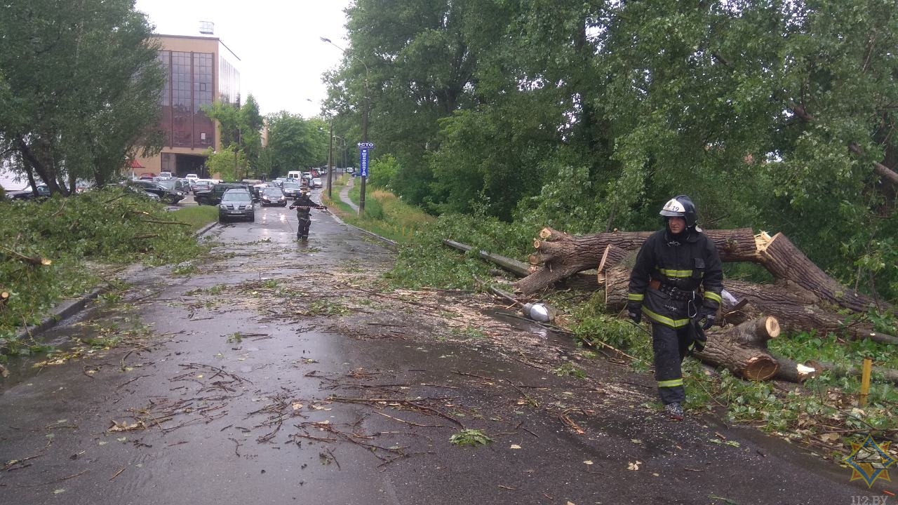 В Минске ветер повалил деревья, повреждены автомобили