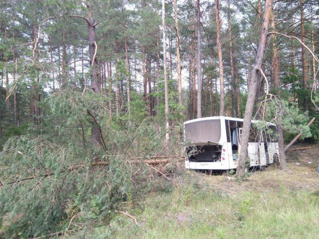 Под Воложином водитель автобуса умер за рулем, пассажиры пострадали в ДТП