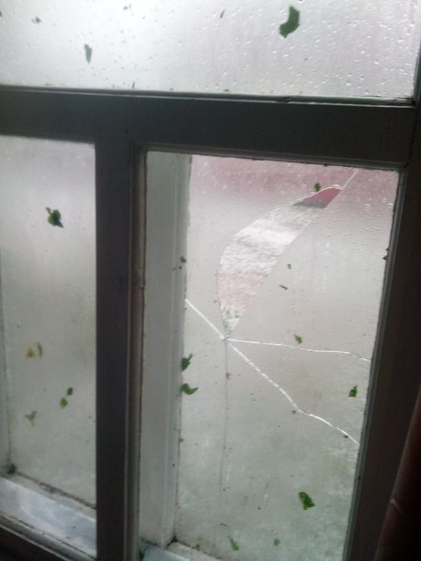 Сильный град в Мядельском районе разбивал стекла и уничтожил урожай