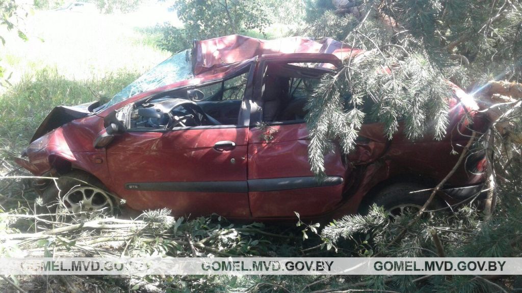 В Калинковичском районе водитель Renault совершал обгон и разбился насмерть