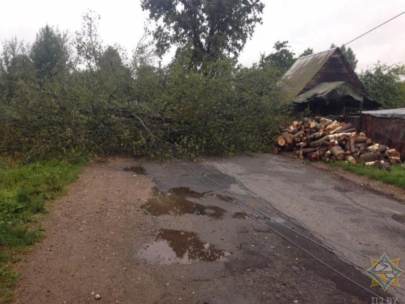 Непогода в Витебской области оставила без электричества 77 населенных пунктов