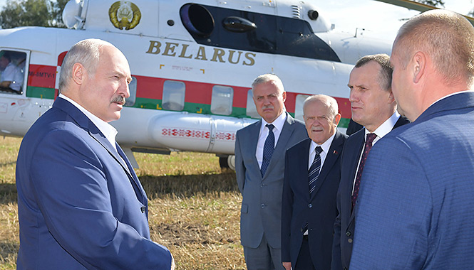 Лукашенко пообещал жесточайшие разборки за падеж скота