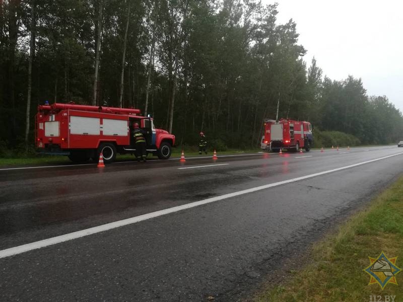 Микроавтобус Mercedes врезался в дерево в Лепельском районе