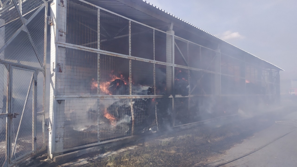 Мужчина получил ожоги, спасая коня на пожаре в Наровлянском районе