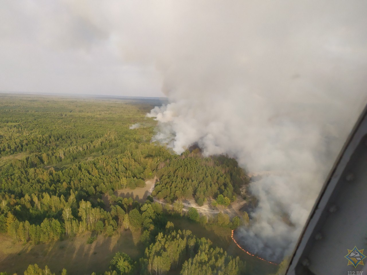 Лесной пожар в Столинском районе локализован
