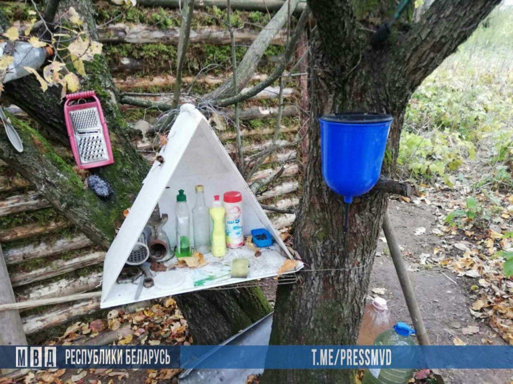 Серийный вор 6 лет жил в лесной хижине под Рогачевом, прячась от тюрьмы
