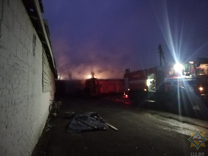 259 телят эвакуировали на пожаре в Лельчицком районе
