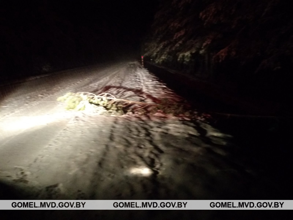 Молодой водитель вылетел в кювет в Лельчицком районе