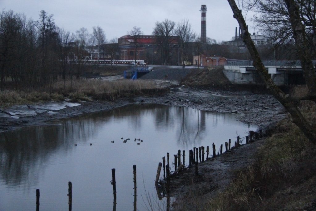 В Добруше прорвало дамбу на реке Ипуть