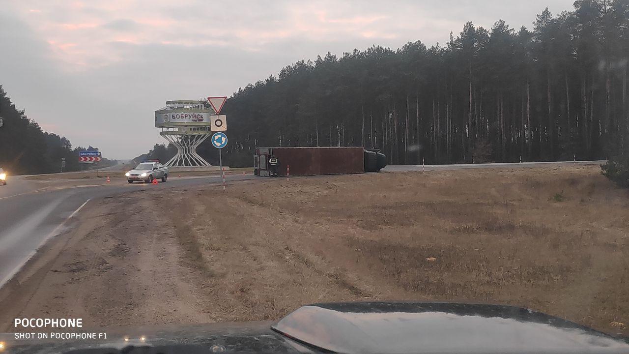 Под Бобруйском опрокинулся грузовик с 60 свиньями: видео