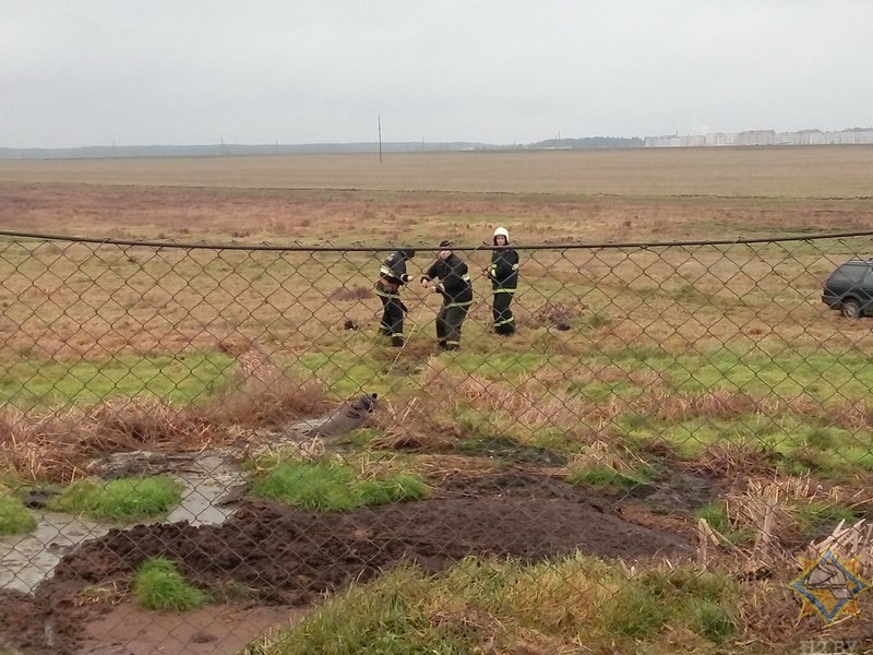 Спасатели вытащили из болота мужчину и теленка в Ивьевском районе