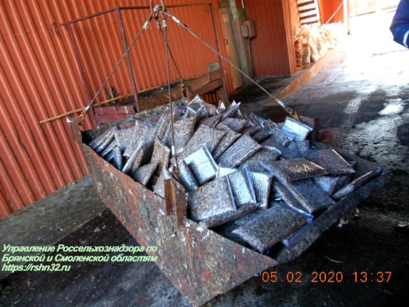 В России уничтожили почти 500 кг сверчков из Беларуси
