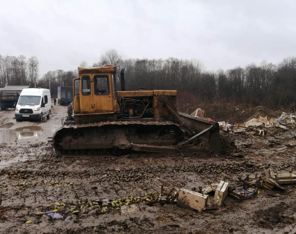 20 тонн груш из Беларуси уничтожили на свалке в Себеже