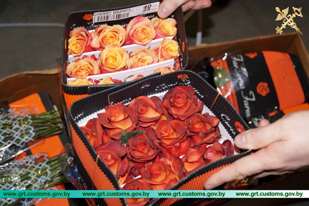 Гродненские таможенники пресекли незаконный ввоз 100 000 роз