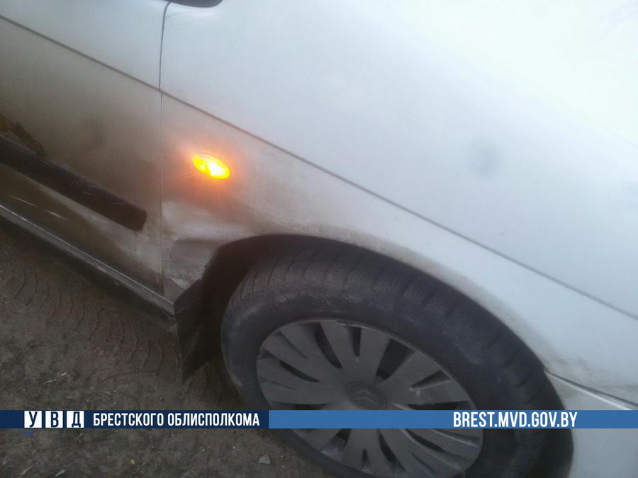 В Ляховичском районе водитель Citroen сбил косулю