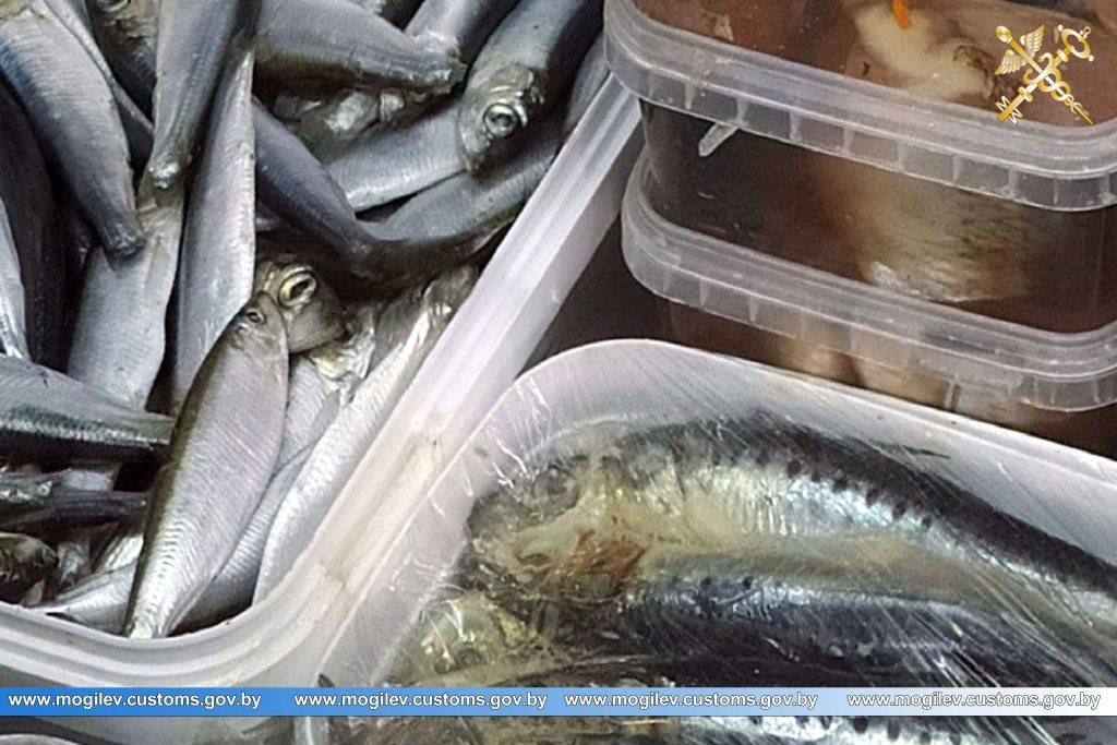 Могилевские таможенники пресекли продажу небезопасной российской рыбы