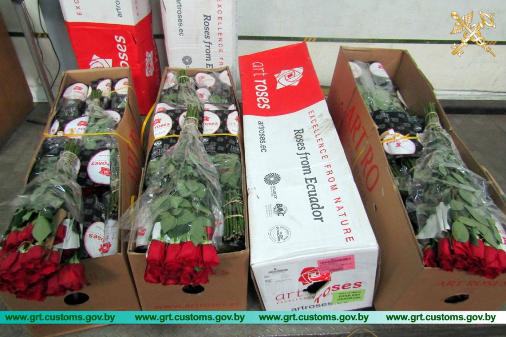 Гродненские таможенники задержали более 100 тысяч роз на границе