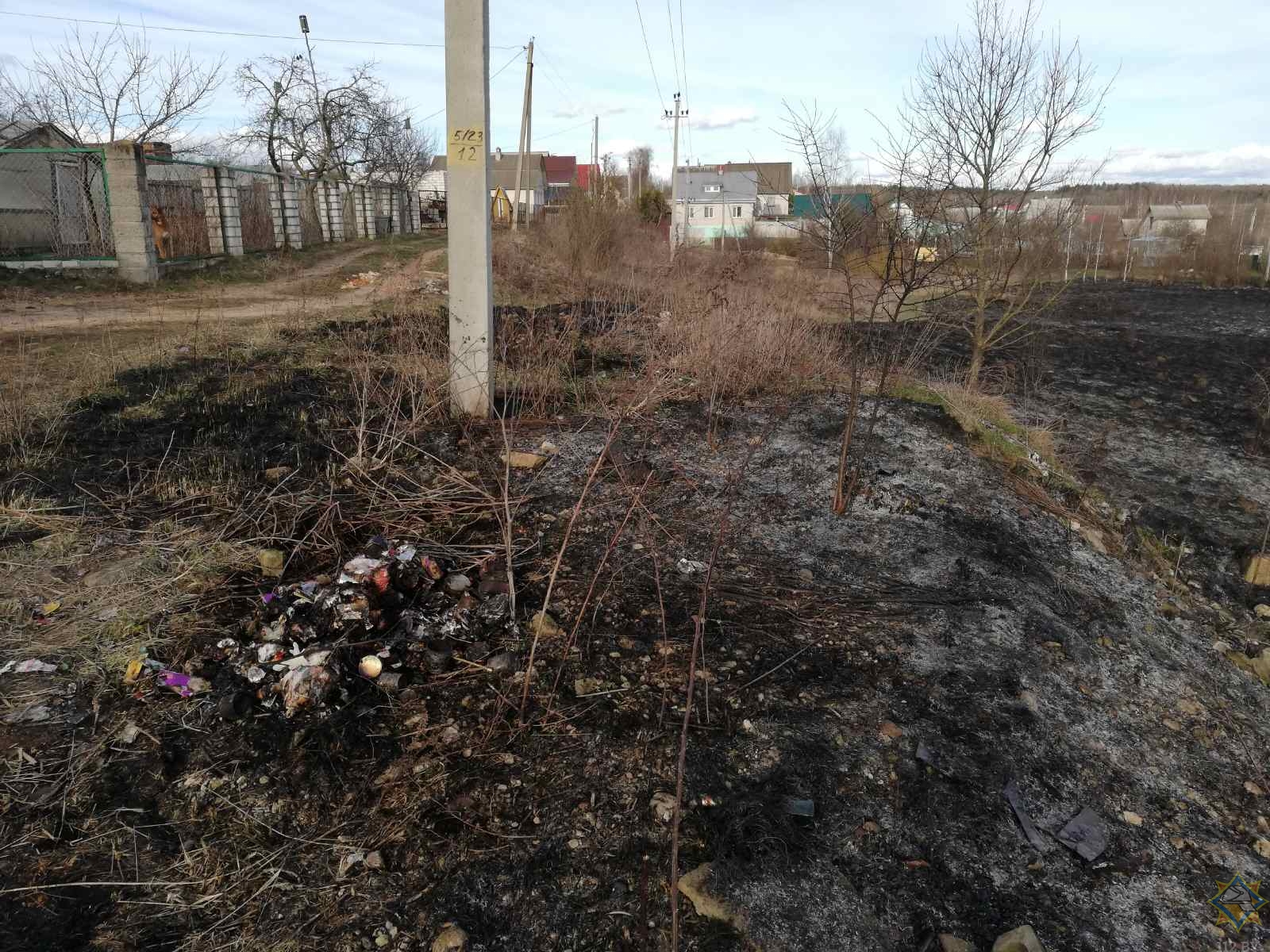 Пенсионер погиб при пожаре сухой растительности в Могилевском районе