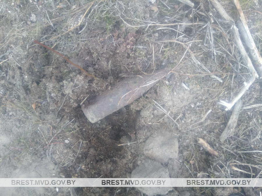 В лесу под Барановичами нашли снаряды