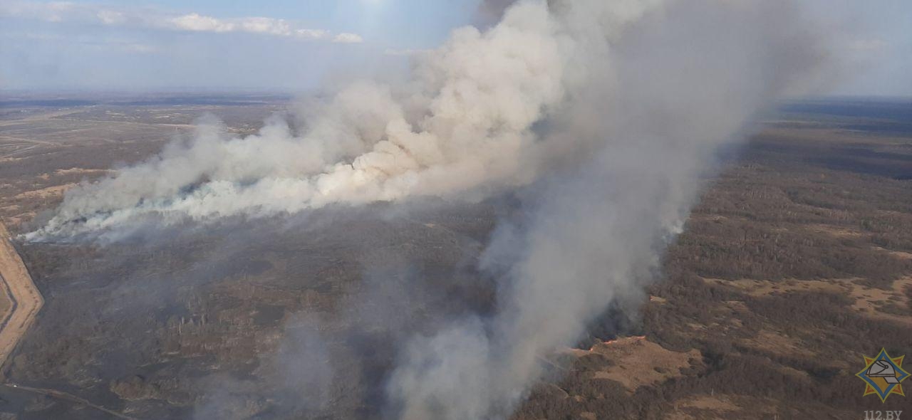 За сутки МЧС ликвидировало 93 пожара в экосистемах