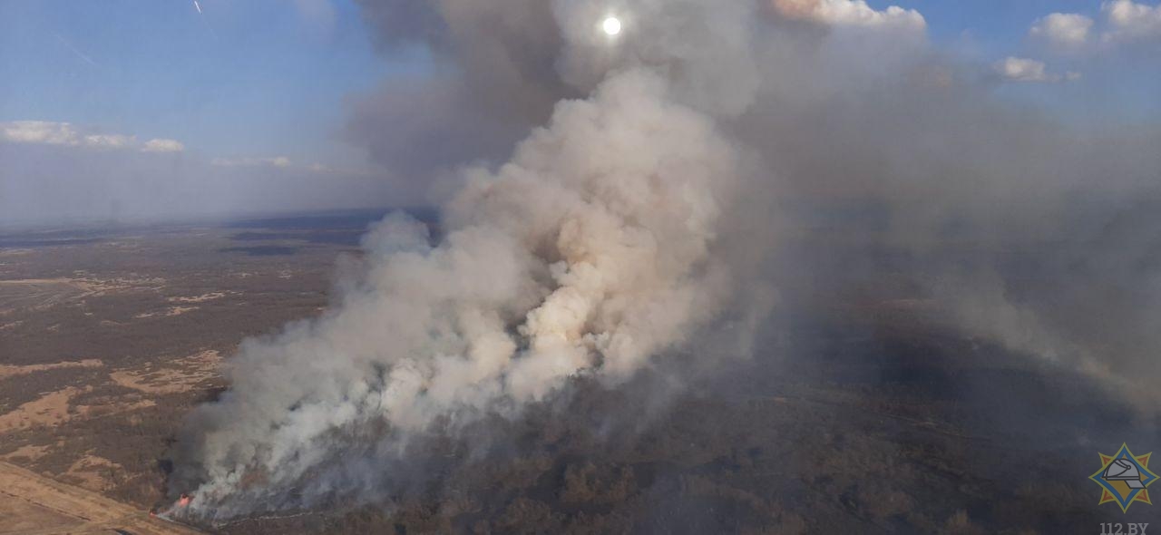 За сутки МЧС ликвидировало 93 пожара в экосистемах