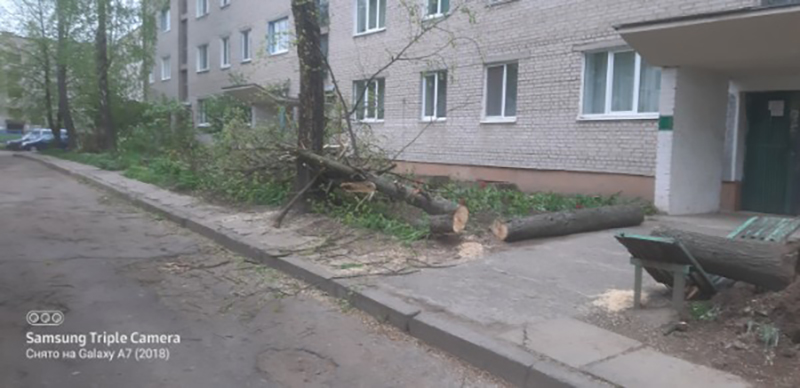 Сильный ветер повредил 19 зданий в Могилёвской области