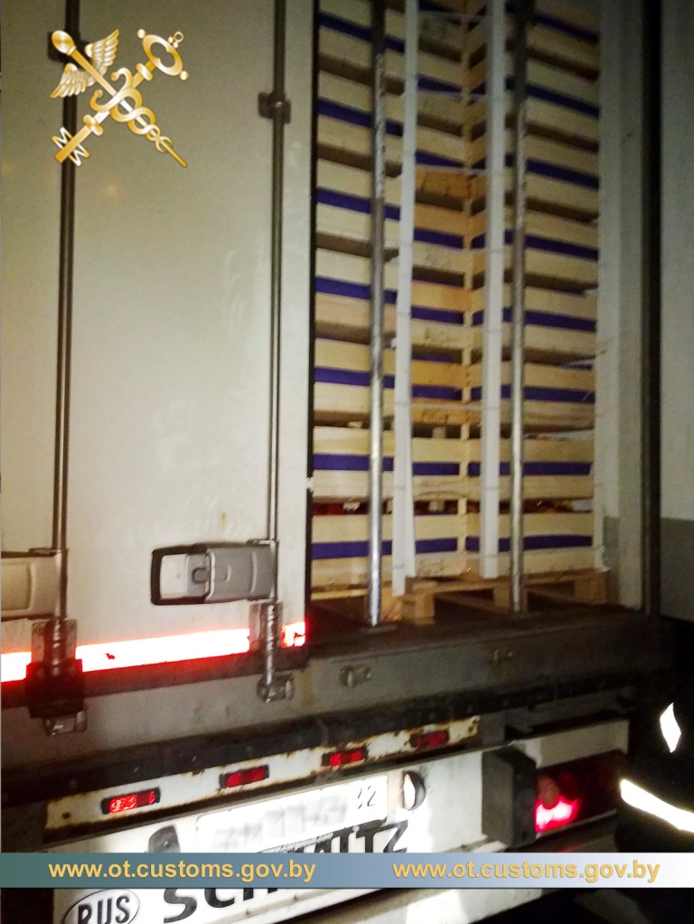 Российский перевозчик пытался провезти польские яблоки на грузовике с поддельными номерами