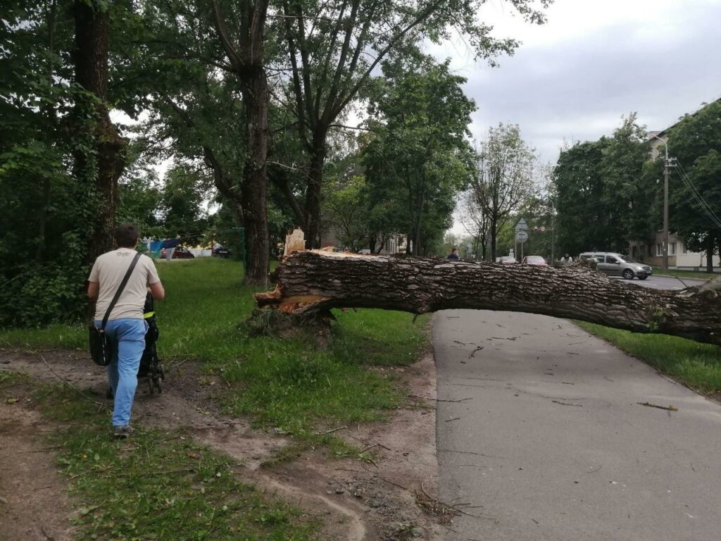 Поваленные деревья и град: по Минску прошла гроза