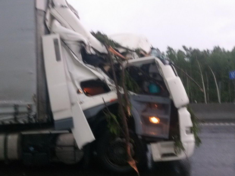 Во время грозы на фуру упало дерево