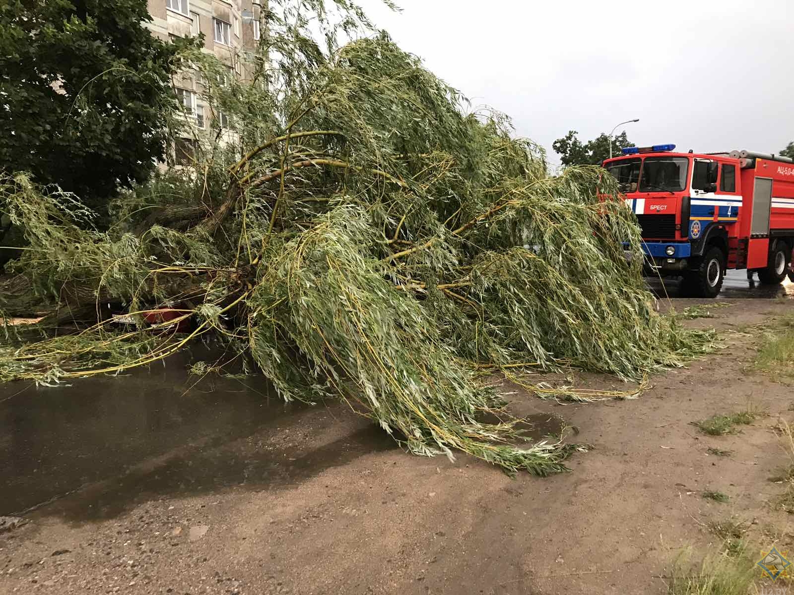 Грозовой фронт оставил без электроснабжения 140 населенных пунктов