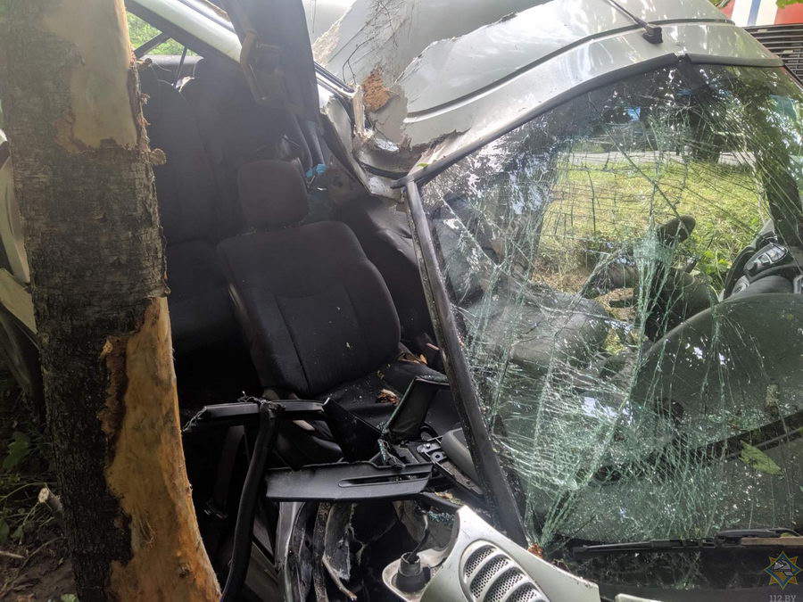 В Воложинском районе авто врезалось в дерево. Понадобилась деблокировка пассажира