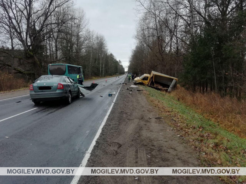 Водитель Skoda погиб в лобовом столкновении с грузовиком под Чаусами