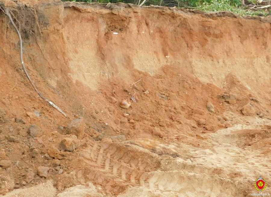 В карьере Шумилинского района обнаружили останки нескольких человек