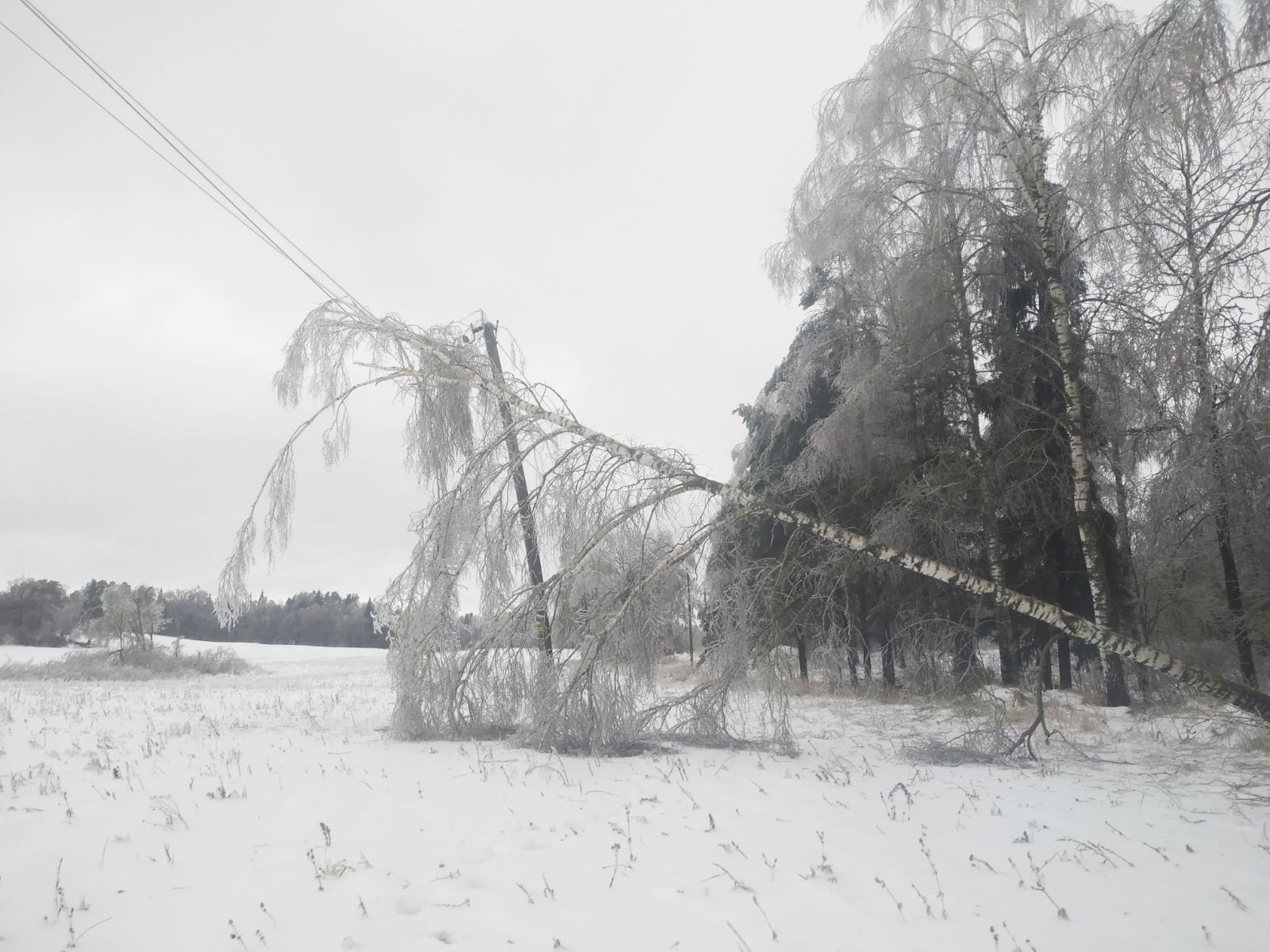 Непогода оставила без электроэнергии более 1000 населенных пунктов