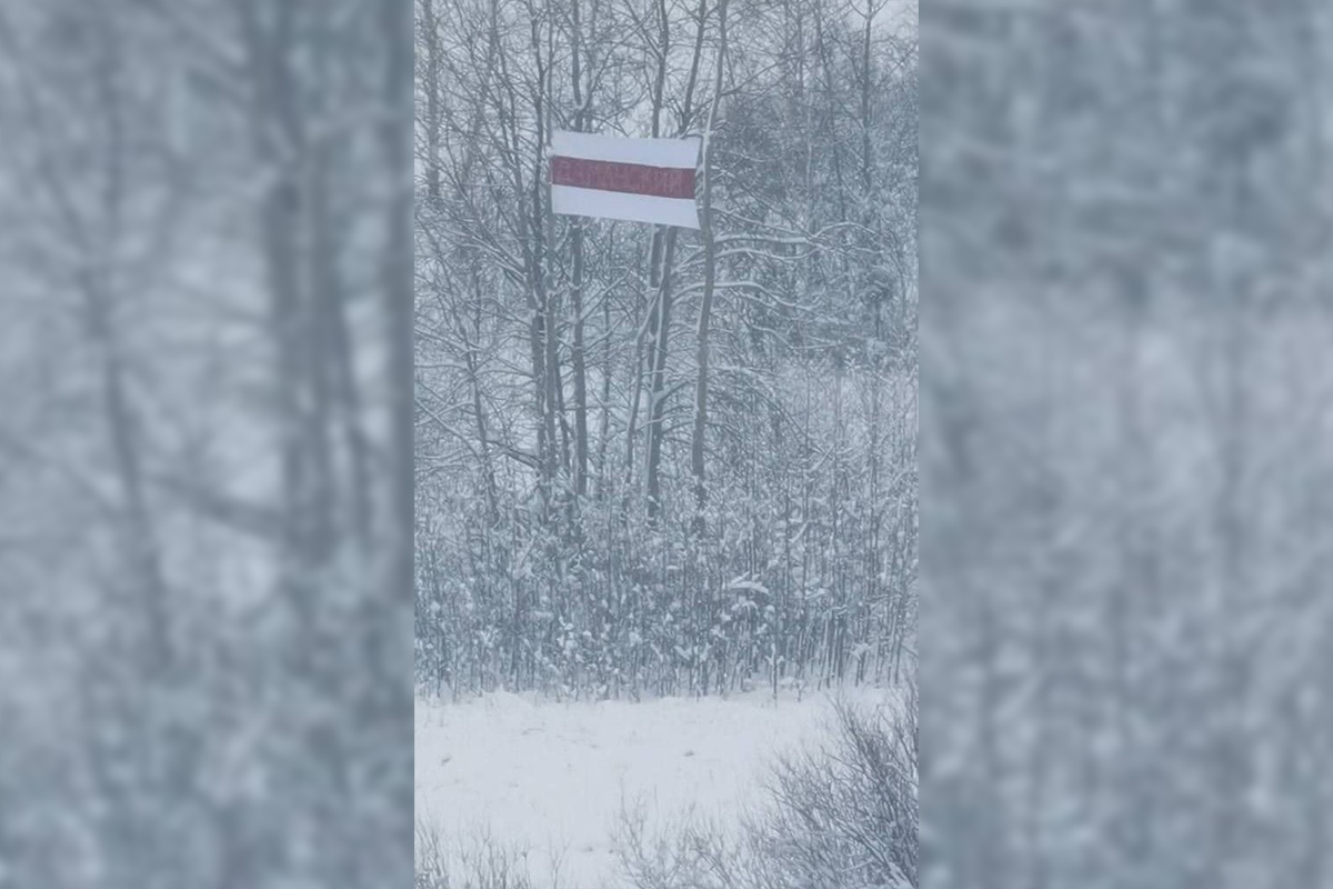 В Бобруйске вывесили БЧБ-флаг, снять который будет сложно: видеофакт