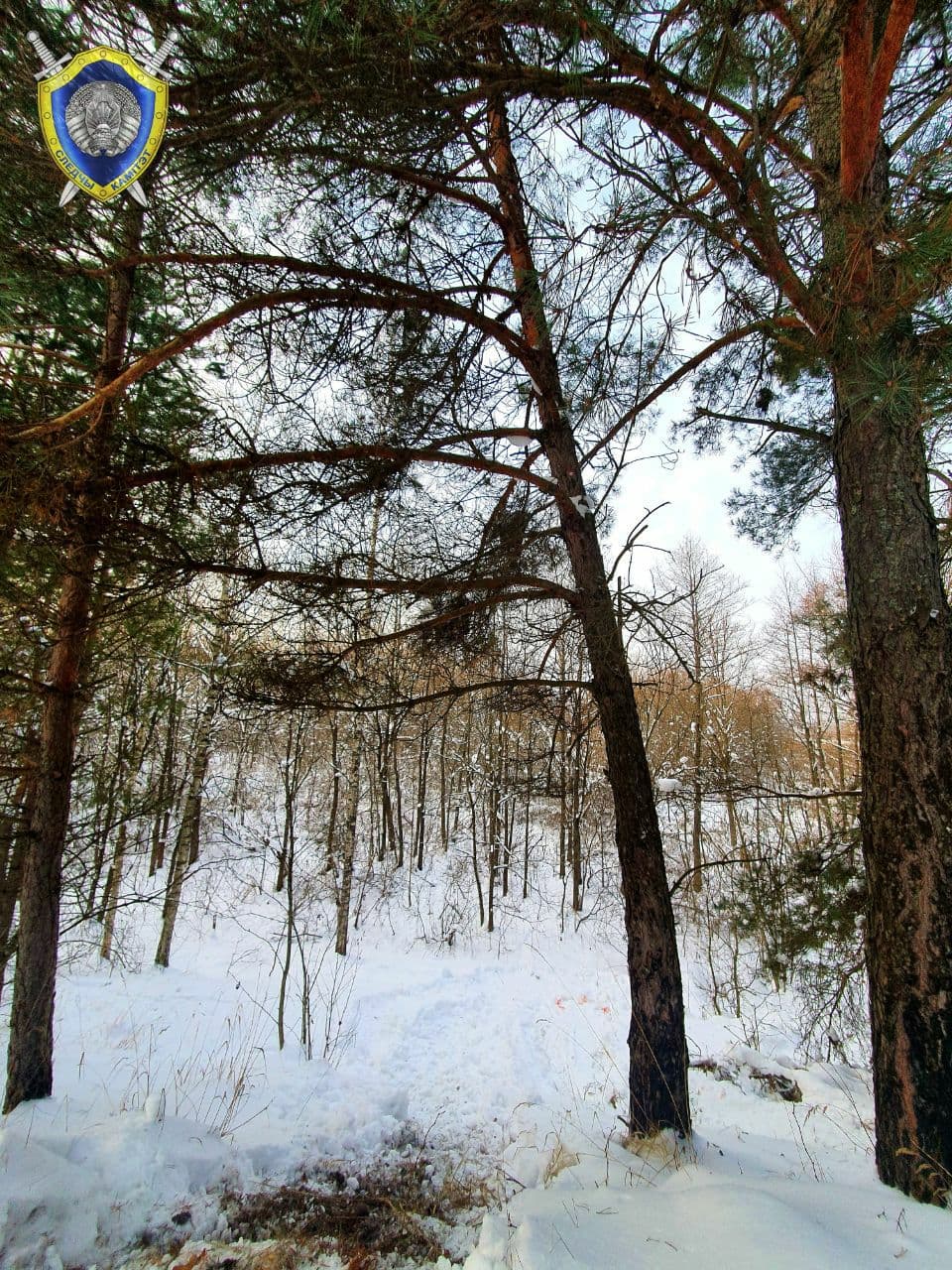 Под Борисовом найдено тело мужчины с признаками насильственной смерти