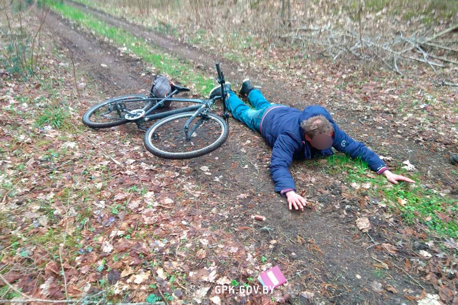 Пограничники не впустили в Беларусь нелегальных мигрантов из Польши и Нидерландов