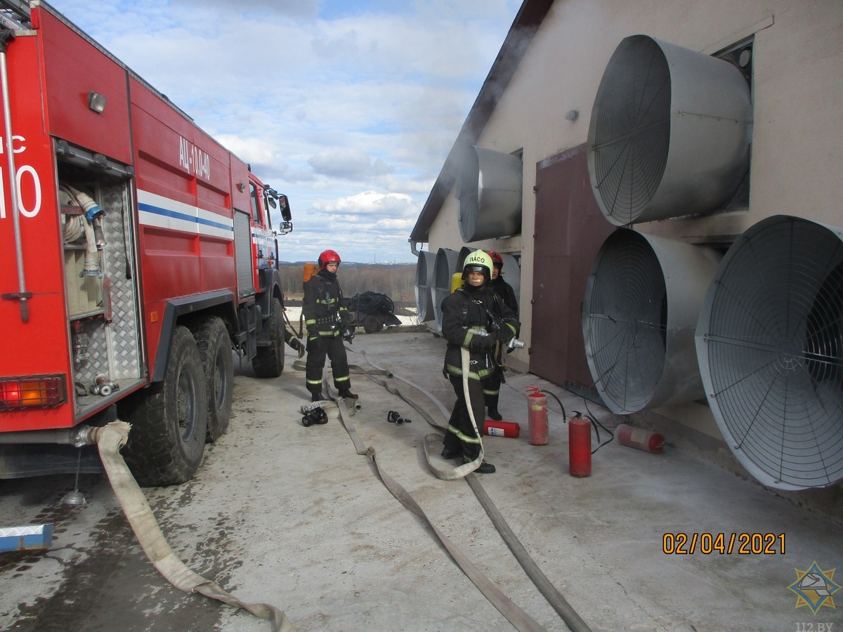 На пожаре в Гродненском районе спасли 27 тысяч цыплят